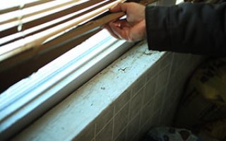 Lead Poisoning Remains a Danger for Children in Chicago